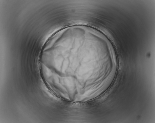 X0000116330806200912221419