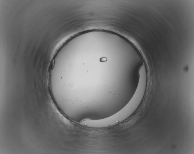 X0000116330807200912221419