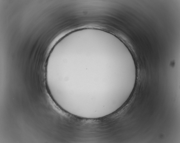 X0000116330808200912221419