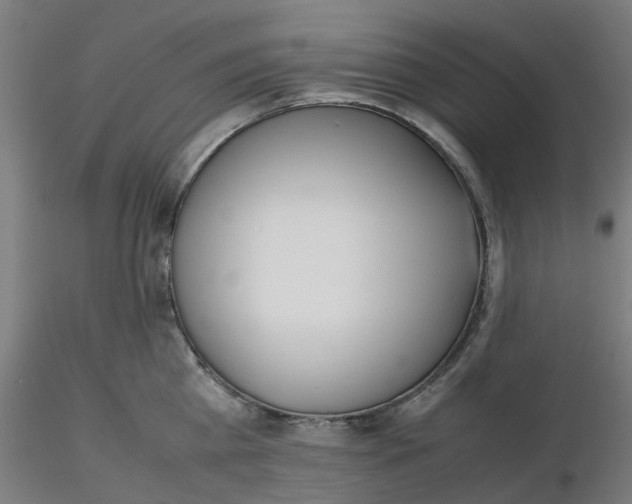 X0000116330809200912221419