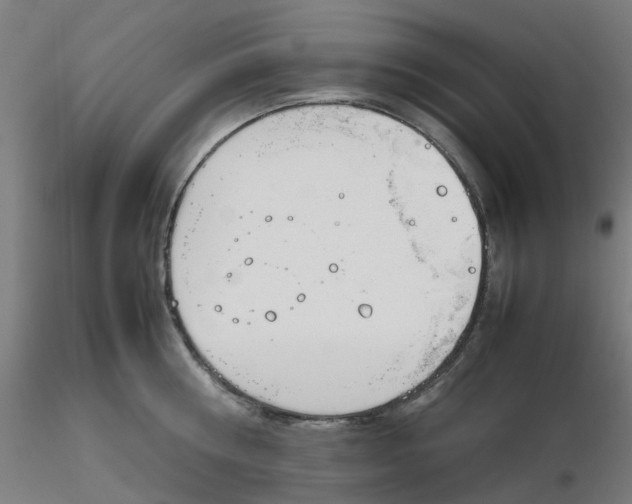 X0000116330810200912221418