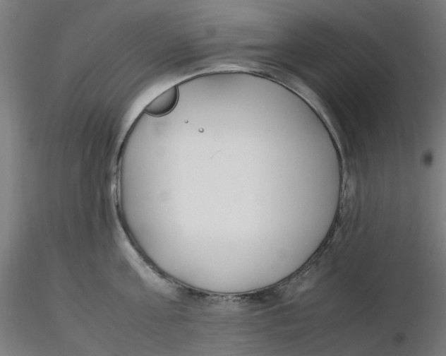 X0000116330811200912221418