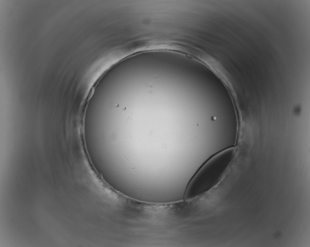 X0000116330813200912221418