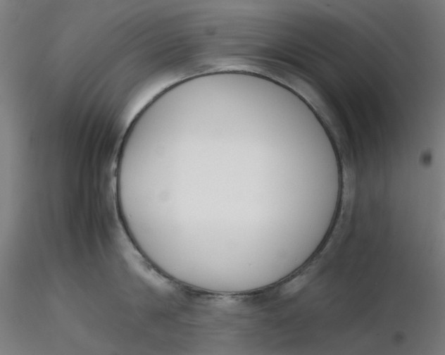 X0000116330814200912221418