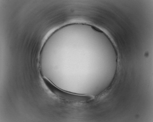 X0000116330815200912221418