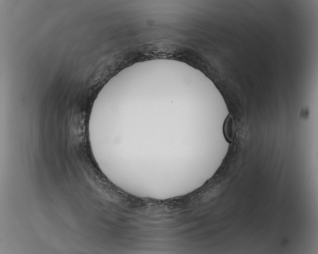 X0000116330818200912221418