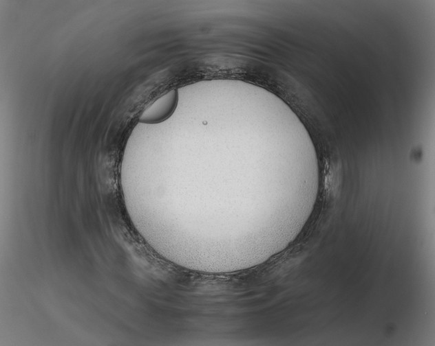 X0000116330819200912221418