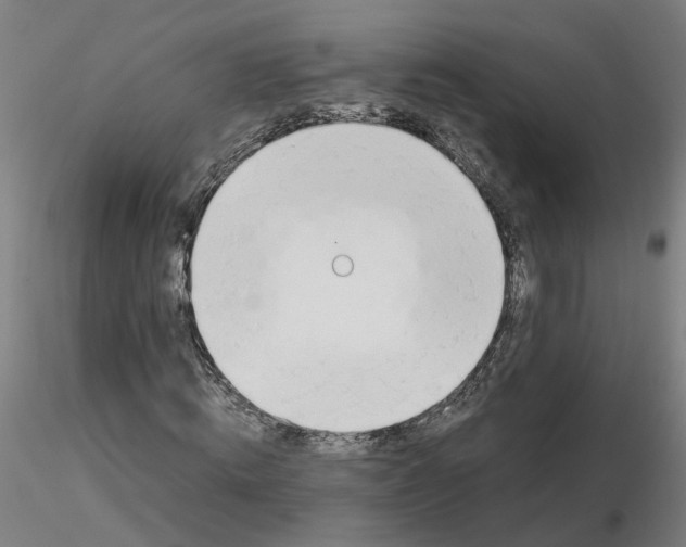 X0000116330820200912221418