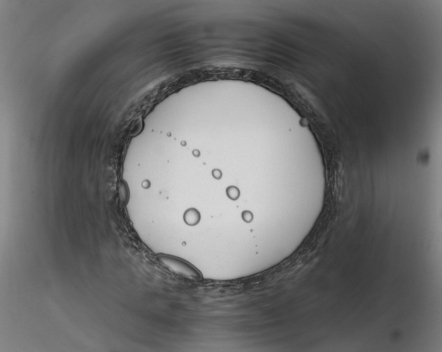 X0000116330821200912221418