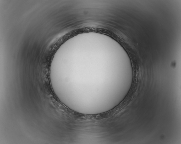 X0000116330822200912221418