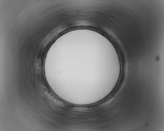 X0000116330825200912221418