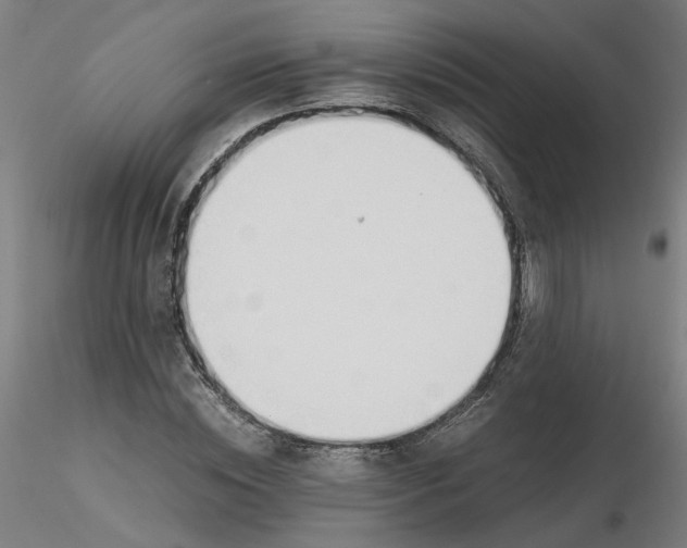 X0000116330828200912221418