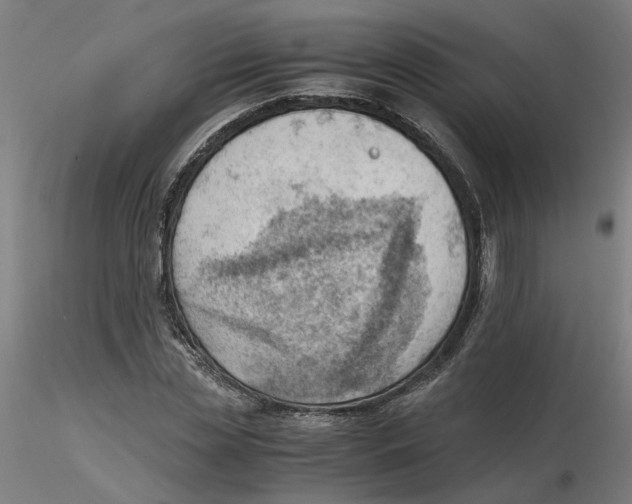 X0000116330829200912221418