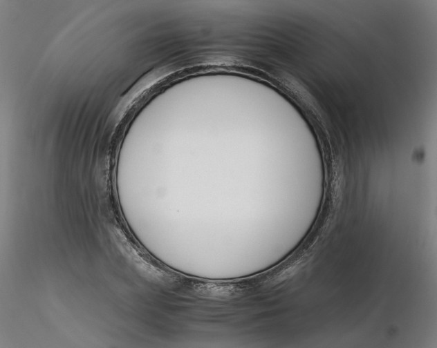 X0000116330831200912221418