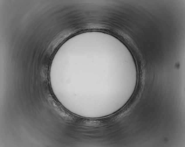 X0000116330833200912221418