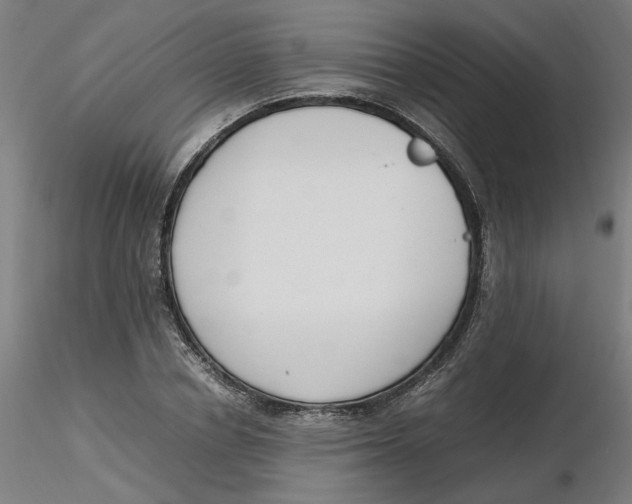 X0000116330834200912221418