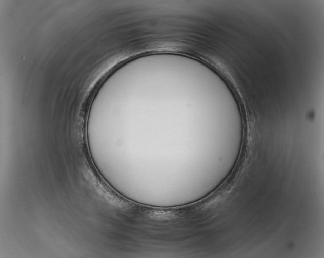 X0000116330835200912221418