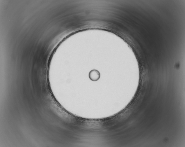 X0000116330836200912221418