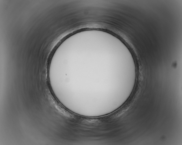 X0000116330837200912221418