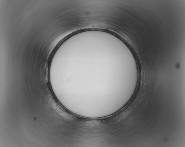 X0000116330838200912221418