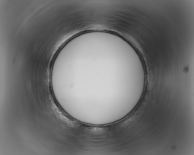 X0000116330839200912221418