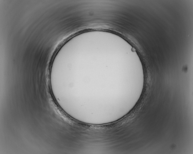 X0000116330840200912221418