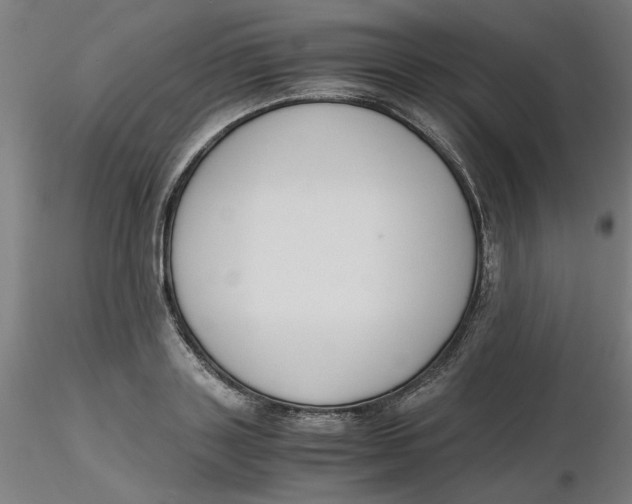 X0000116330843200912221418