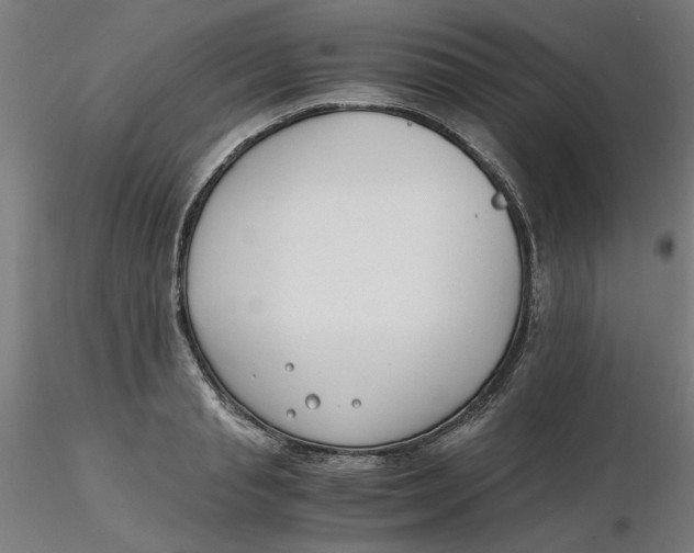 X0000116330845200912221418