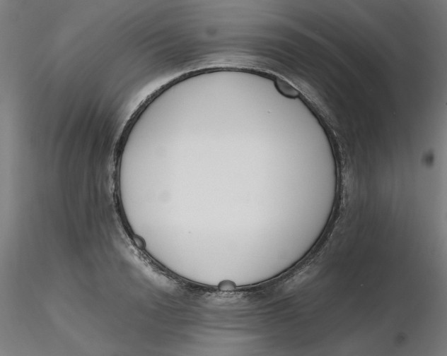 X0000116330846200912221418