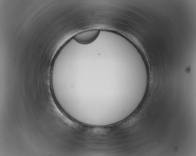 X0000116330847200912221418