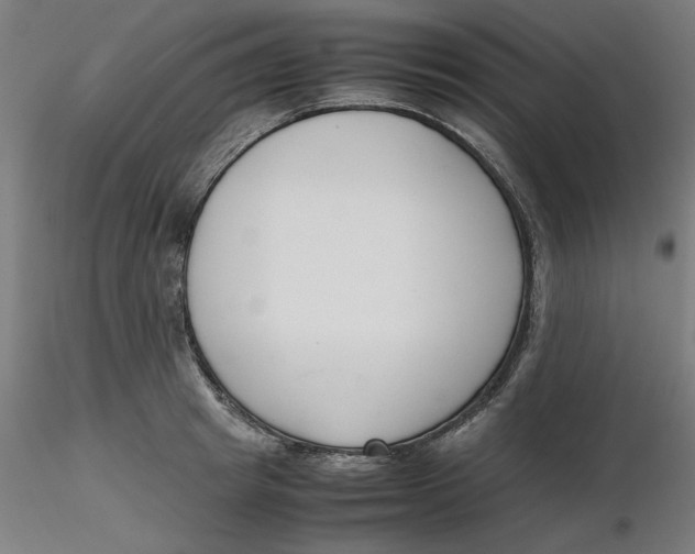 X0000116330849200912221418