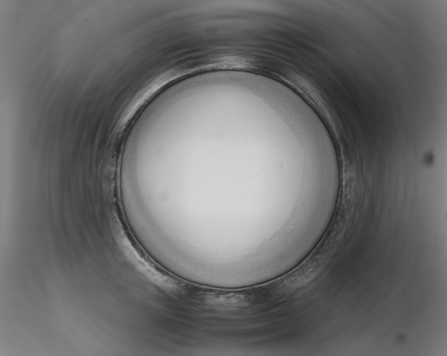 X0000116330851200912221418