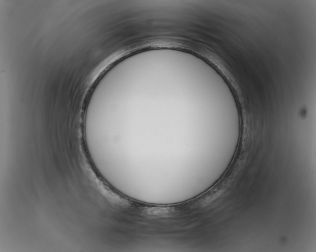 X0000116330853200912221418