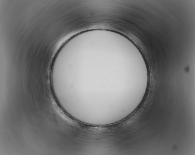 X0000116330854200912221418