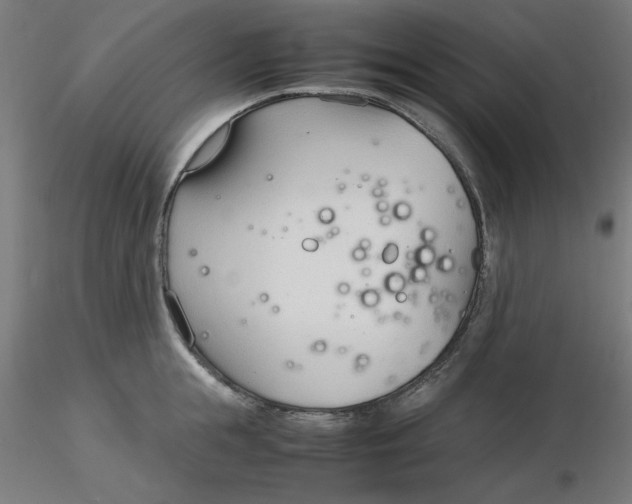 X0000116330855200912221418