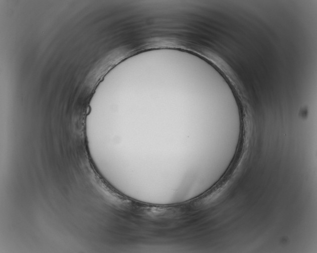 X0000116330857200912221418