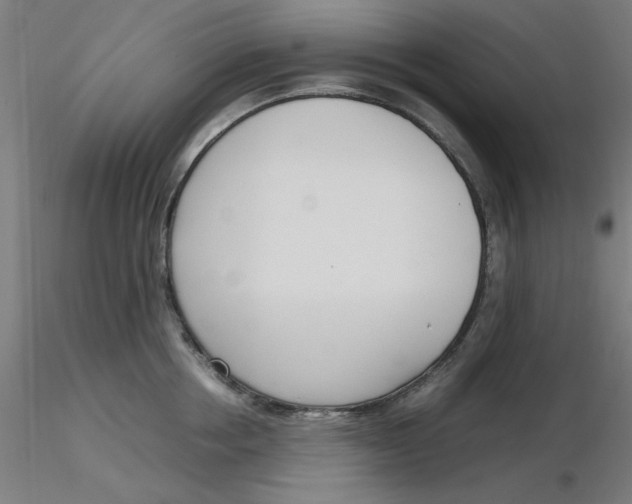 X0000116330858200912221418