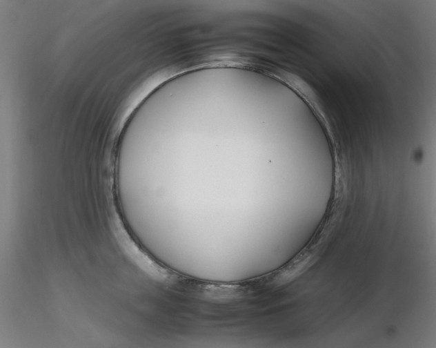 X0000116330859200912221418