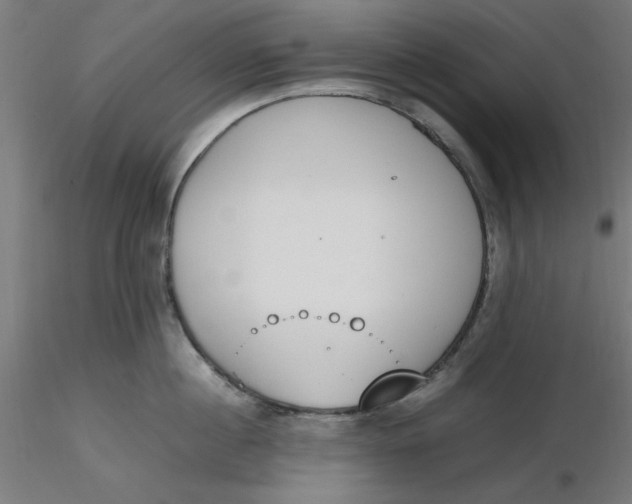 X0000116330860200912221418