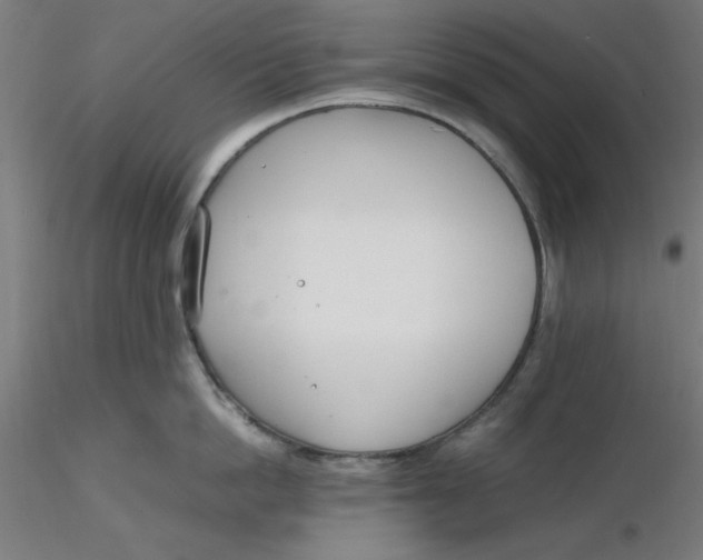 X0000116330862200912221418