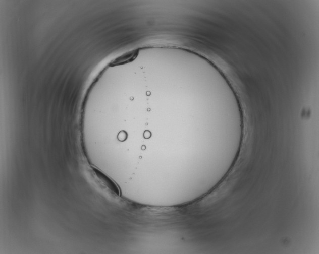 X0000116330864200912221418