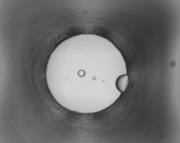 X0000116330865200912221418