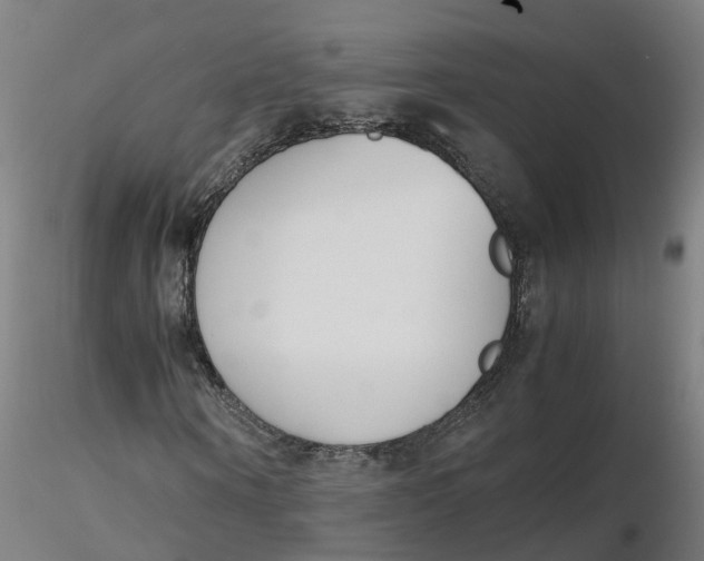 X0000116330866200912221418