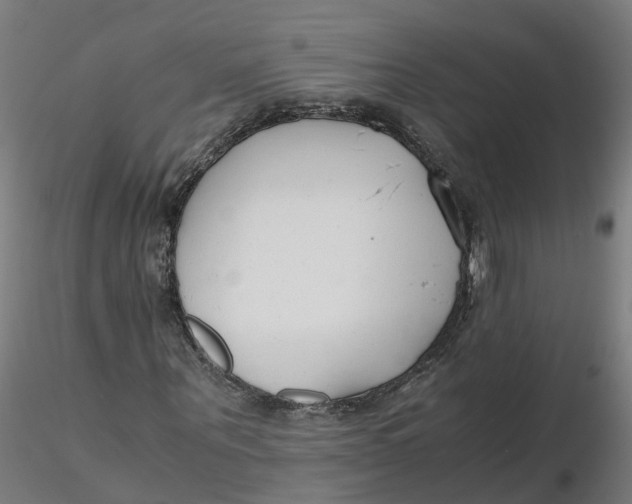 X0000116330867200912221418