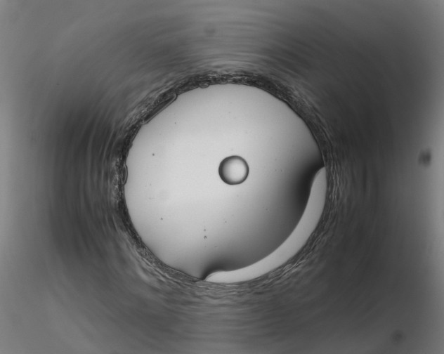 X0000116330868200912221418