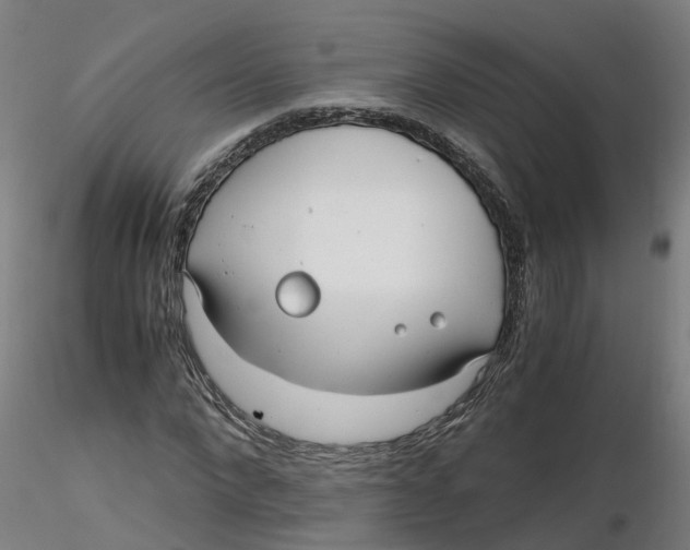 X0000116330872200912221418