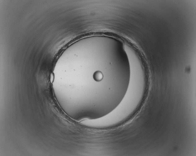 X0000116330873200912221418