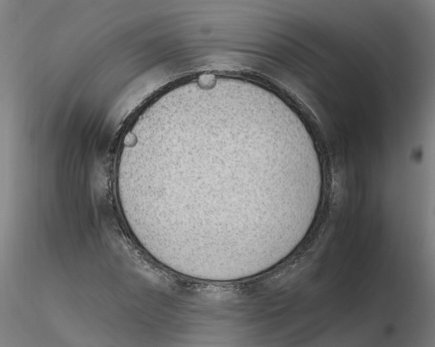 X0000116330874200912221418