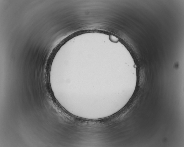 X0000116330876200912221418