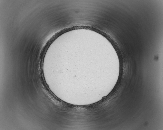 X0000116330878200912221418